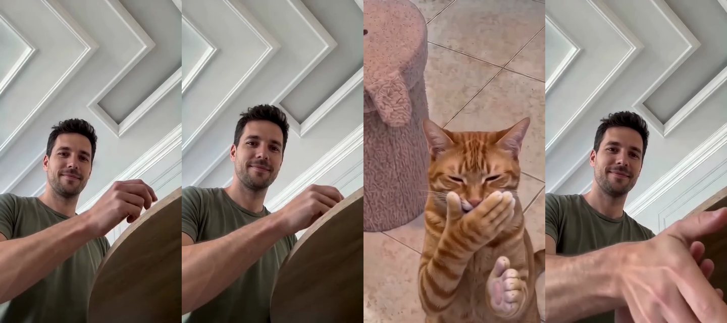 Four frames from the finished cat clapping video: the man holds out a treat, the man looks at the camera, the orange cat covers its mouth with a furry paw, and the man reaches for a handshake